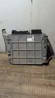 Toyota Avensis T270 Galios (ECU) modulis 8966105F21