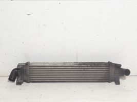 Ford C-MAX I Intercooler radiator 