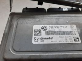 Volkswagen Polo V 6R Centralina/modulo del motore 03E906019M