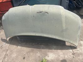 Volkswagen Multivan T5 Engine bonnet/hood 