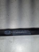 KIA Ceed Ammortizzatore portellone posteriore/bagagliaio 81780A2000