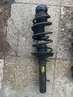 Volkswagen New Beetle Front shock absorber/damper 