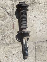 Volkswagen Golf V Ammortizzatore anteriore 1K0413031BG