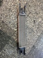 Fiat Punto (199) Chłodnica powietrza doładowującego / Intercooler 866452000