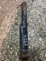 Renault Megane III Rear shock absorber/damper 