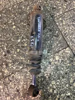 Hyundai Santa Fe Rear shock absorber/damper 