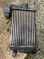 Opel Meriva B Chłodnica powietrza doładowującego / Intercooler T2935004