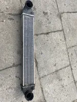 Mercedes-Benz A W169 Radiatore intercooler A1695000000