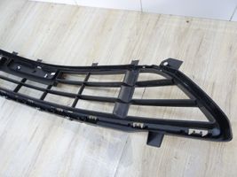 Alpine D10 Front bumper lower grill 6020015126