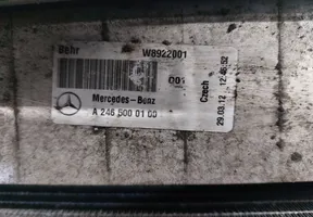 Mercedes-Benz C W204 Set del radiatore A2465000100