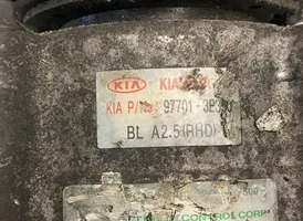 KIA Sorento Compressore aria condizionata (A/C) (pompa) 977013E350