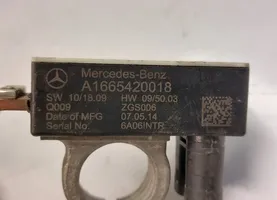 Mercedes-Benz B W246 W242 Muu johtosarja A1665420018