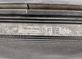 Nissan Leaf I (ZE0) Set del radiatore A18700A28001