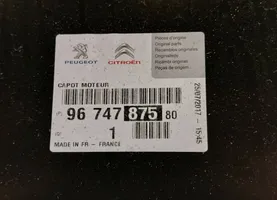 Citroen C-Elysée Pokrywa przednia / Maska silnika 9674787580