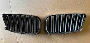 BMW X3 E83 Griglia superiore del radiatore paraurti anteriore 3420088
