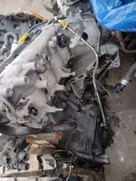 Alfa Romeo 147 Moteur 