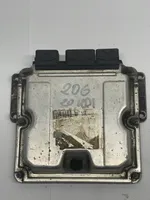 Peugeot 206 Engine control unit/module 0281011188