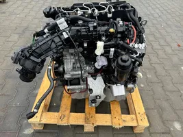 BMW 3 G20 G21 Moteur B47D20G