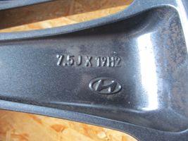 Hyundai Tucson TL R19 alloy rim 52910-D7510