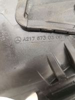 Mercedes-Benz S C217 Guarnizione in gomma finestrino/vetro portiera posteriore A2176730300