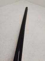 BMW 6 F06 Gran coupe Front door glass trim molding 