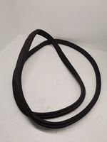 Mercedes-Benz C AMG W205 Rear door rubber seal (on body) A2056970251