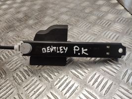 Bentley Flying Spur Motorino di regolazione delle cinture di sicurezza 3D7857819C