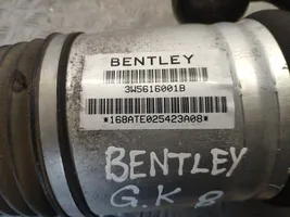Bentley Flying Spur Galinis amortizatorius (pneumatinė/ hidraulinė važiuoklė) 3W5616001B