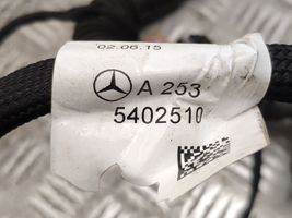 Mercedes-Benz GLC X253 C253 Cablaggio porta anteriore A2535402510