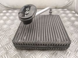 Volkswagen PASSAT CC Air conditioning (A/C) radiator (interior) 