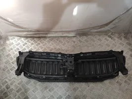 BMW 3 G20 G21 Grotelės viršutinės 9465188