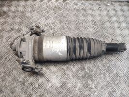 Porsche Cayenne (92A) Ammortizzatore/sospensione pneumatica 7P5616019N