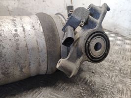 Porsche Cayenne (92A) Ammortizzatore/sospensione pneumatica 7P5616019N