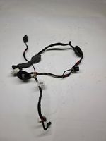 Hyundai i30 Rear door wiring loom 91650A6020