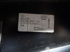 Audi A4 S4 B7 8E 8H Rivestimento modanatura del vetro della portiera anteriore 8E0853289E
