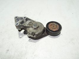 Volkswagen Transporter - Caravelle T5 Napinacz paska alternatora 038903315AE