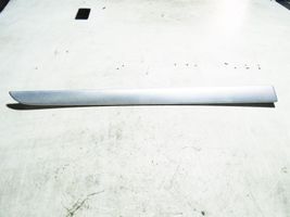 Audi A4 S4 B7 8E 8H Rivestimento della portiera posteriore 8E0867419