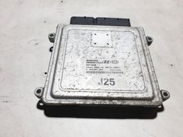 Hyundai Sonata Calculateur moteur ECU 3911025071