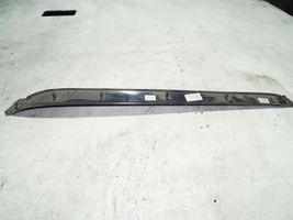 Audi A4 S4 B6 8E 8H Autres éléments de garniture porte avant 8E0867410G