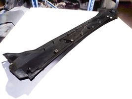 Nissan Pathfinder R51 Rivestimento del tergicristallo 66862EB400