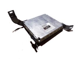 Lexus RX 330 - 350 - 400H Sterownik / Moduł ECU 8998148220