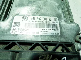 Volkswagen Caddy Calculateur moteur ECU 03L907309AE