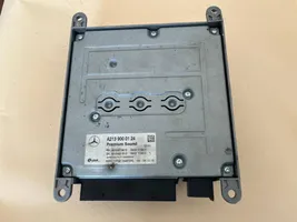 Mercedes-Benz S C217 Amplificatore A2139000124