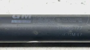 Opel Signum Gasdruckfeder Dämpfer Heckklappe Kofferraumdeckel 13247868