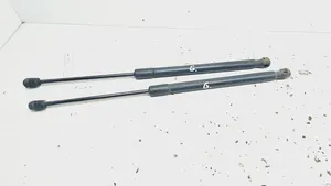 Opel Signum Tailgate/trunk strut/damper 13247868