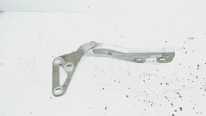 Opel Signum Bisagras del capó/tapa del motor 13213450