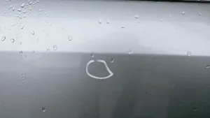 Opel Signum Portiera posteriore 