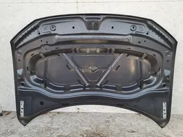 Volkswagen Tiguan Motorhaube 5NA823031H