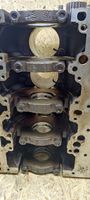 Volkswagen Golf V Bloc moteur 06D023A