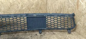 BMW X5 E70 Grille inférieure de pare-chocs avant 51117222855